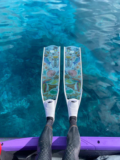 Divermon Rainbow Free Diving Fins - Composite Soft Blades for Snorkeling & Spearfishing | Comfortable & Durable Swim Fins for Ocean Adventures
