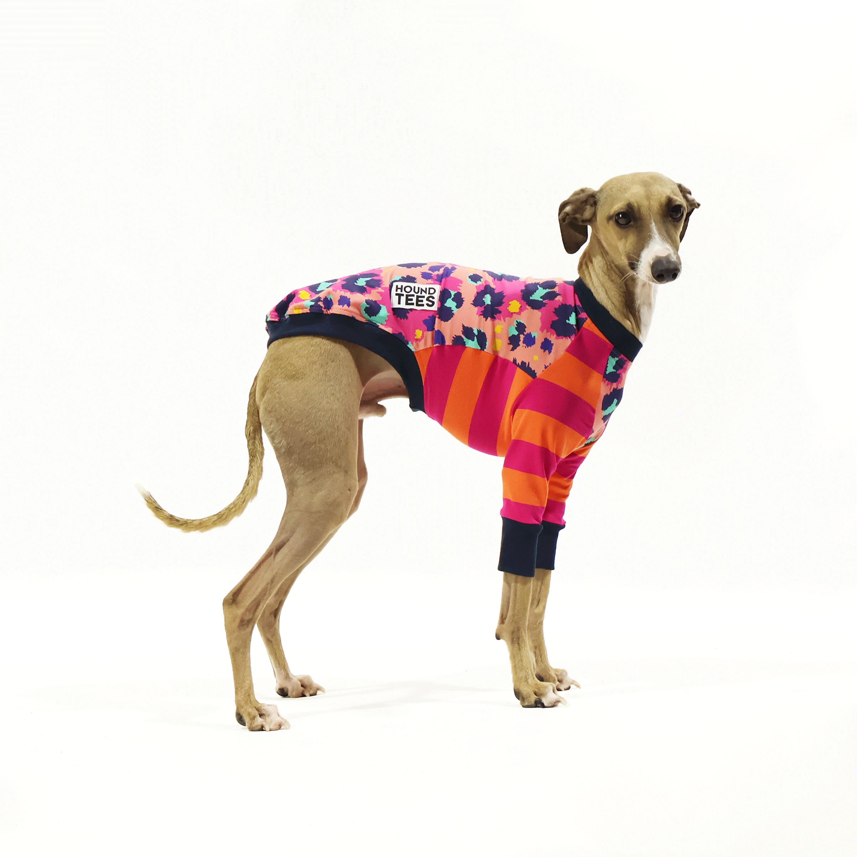Peggy Disco Iggy Long Sleeve Hound T-Shirt for Women - Vintage Retro Graphic Tee - Casual Streetwear & Music Festival Outfit