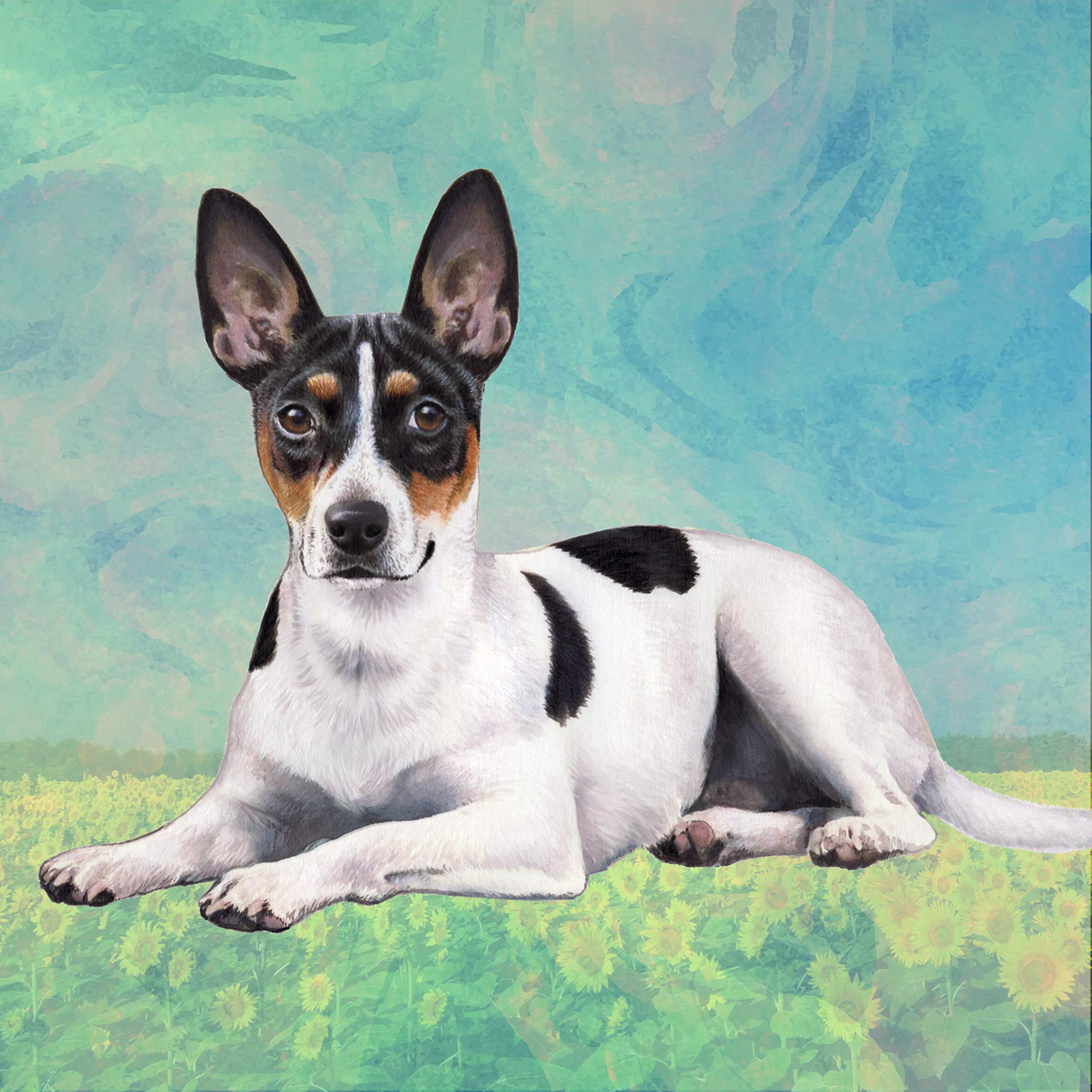 Rat Terrier Absorbent Stone Coaster Set - Cork Back Protects Furniture from Scratches - Prevents Water Rings - Perfect for Coffee Tables, Desks & Home Decor