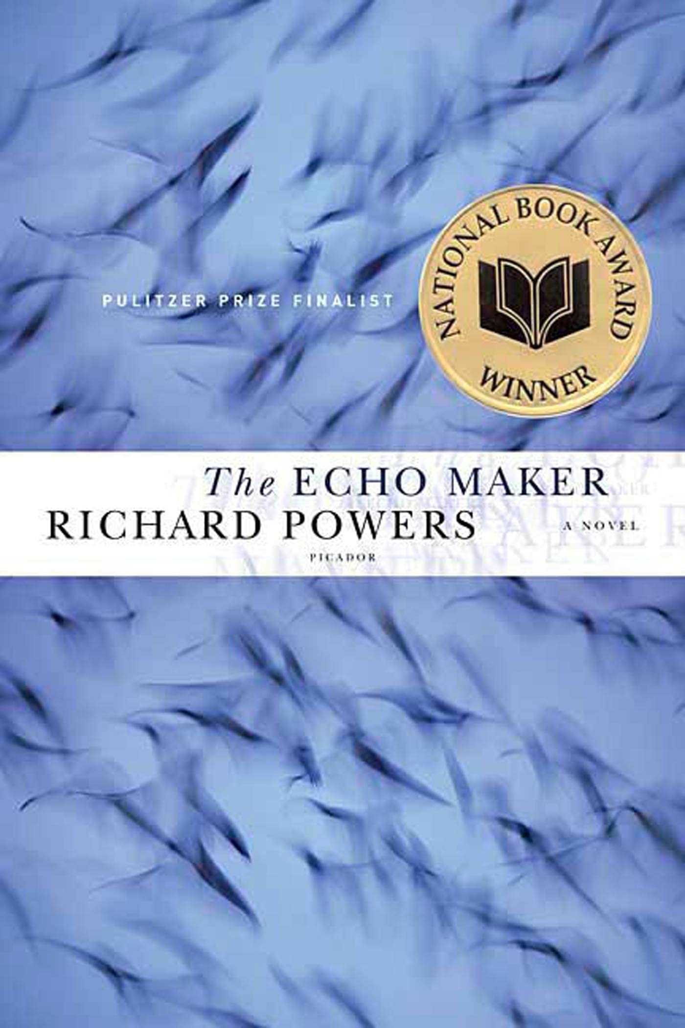 The Echo Maker - Award-Winning Novel by Richard Powers | Buy Online for Fast US Shipping | Perfect for Book Clubs & Literary Enthusiasts