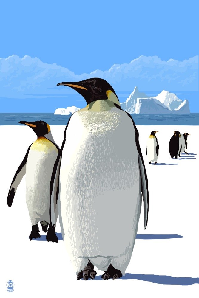 King Penguins 36x54 Giclee Gallery Print - Premium Travel Poster Wall Art Decor for Living Room, Office & Nursery