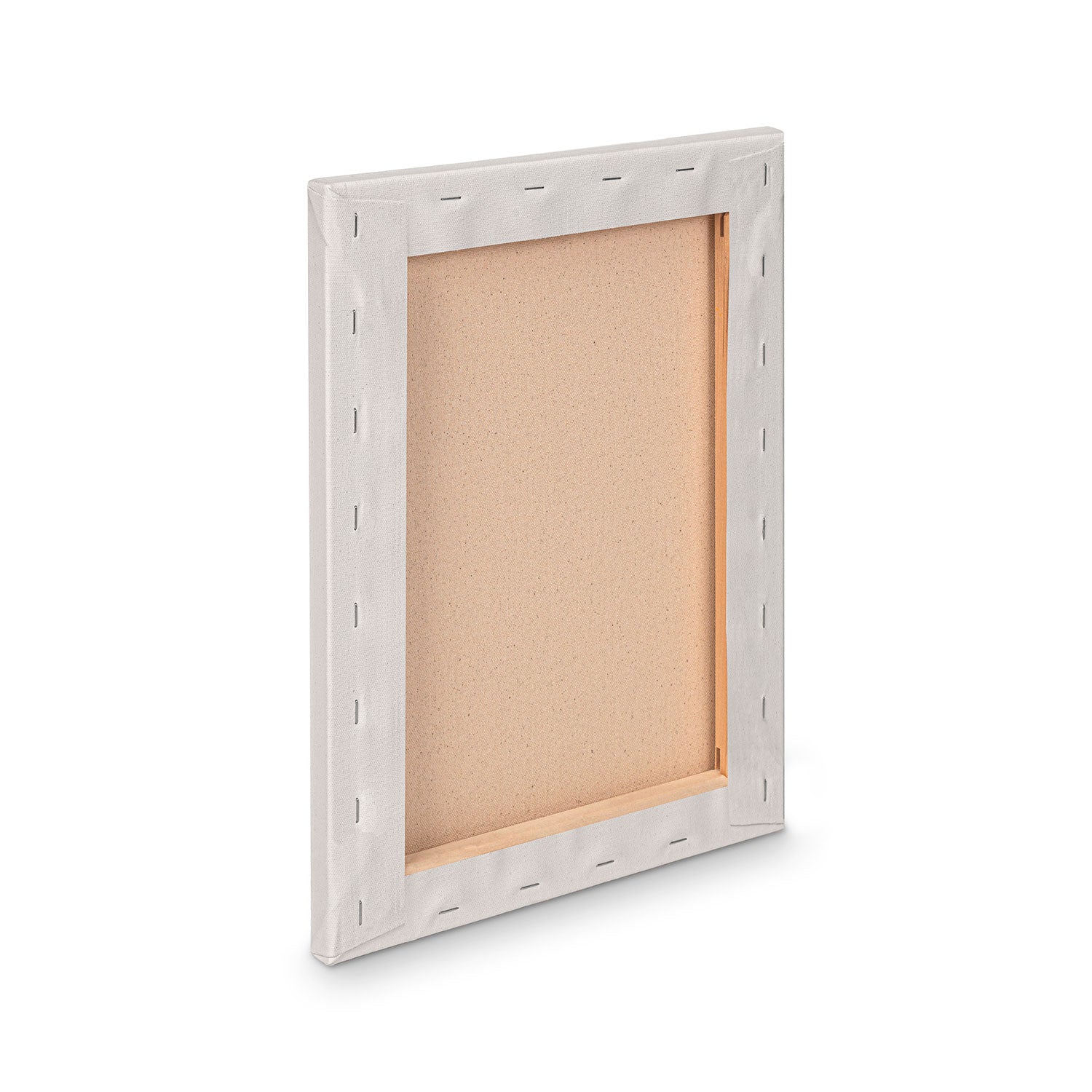 Premium Artist Canvas - 20