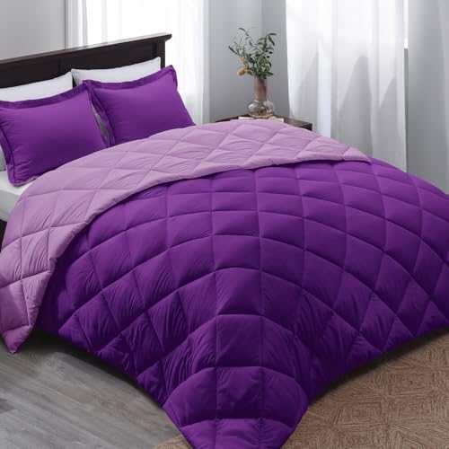 08 - Purple/Lilac