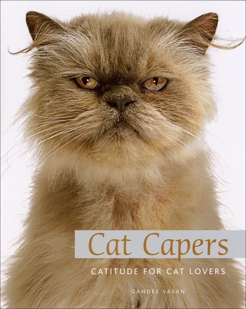Playful Cat Capers Toy for Cat Lovers - Fun Indoor Playtime