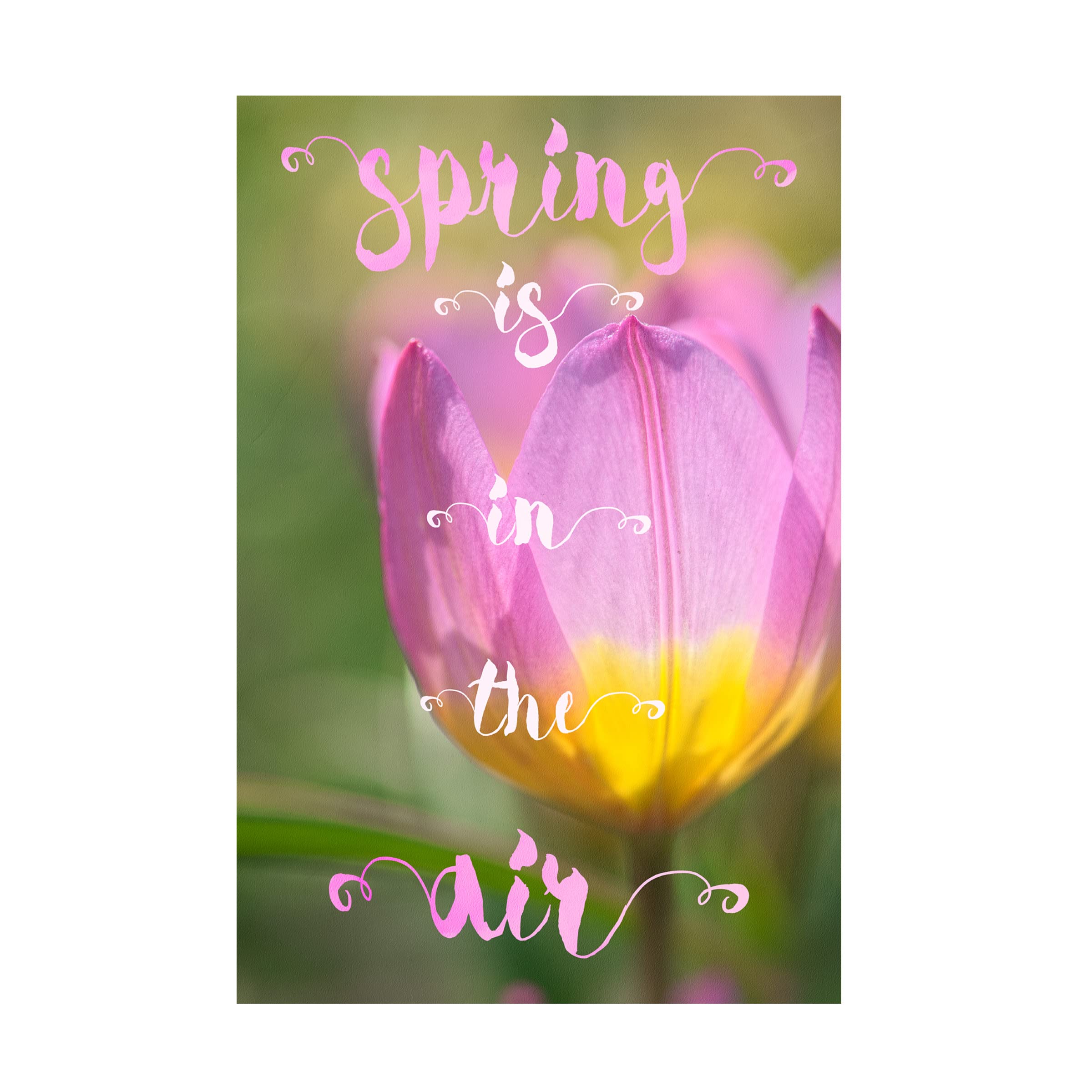 Trademark Fine Art 'Spring is in the Air' Canvas Wall Art by Cora Niele - Perfect for Living Room, Bedroom & Office Decor