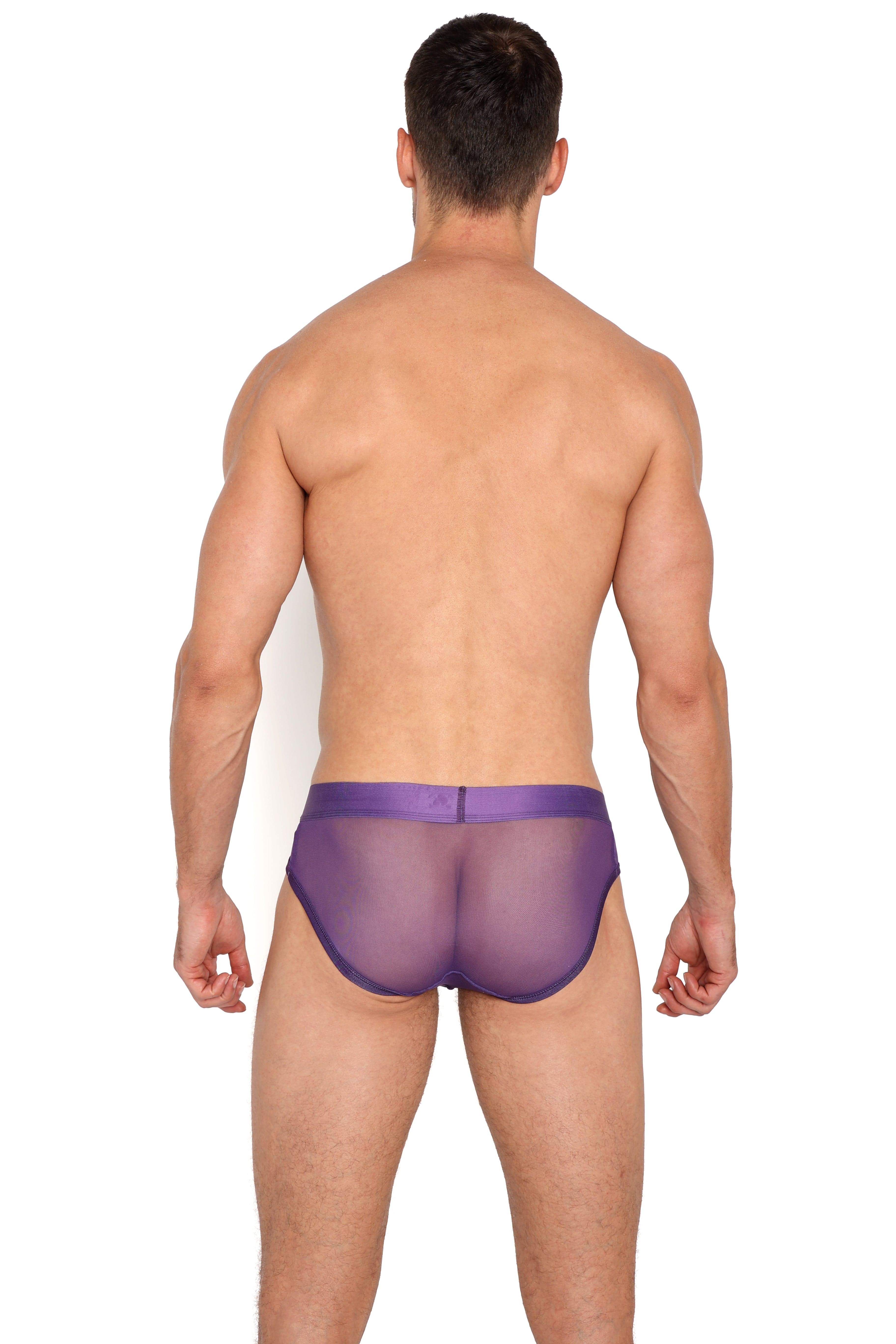 Just The Bones Sheer Brief Purple - Sexy Lingerie Panties for Women, Comfortable & Breathable Underwear - Perfect for Date Night, Boudoir, or Everyday Wear