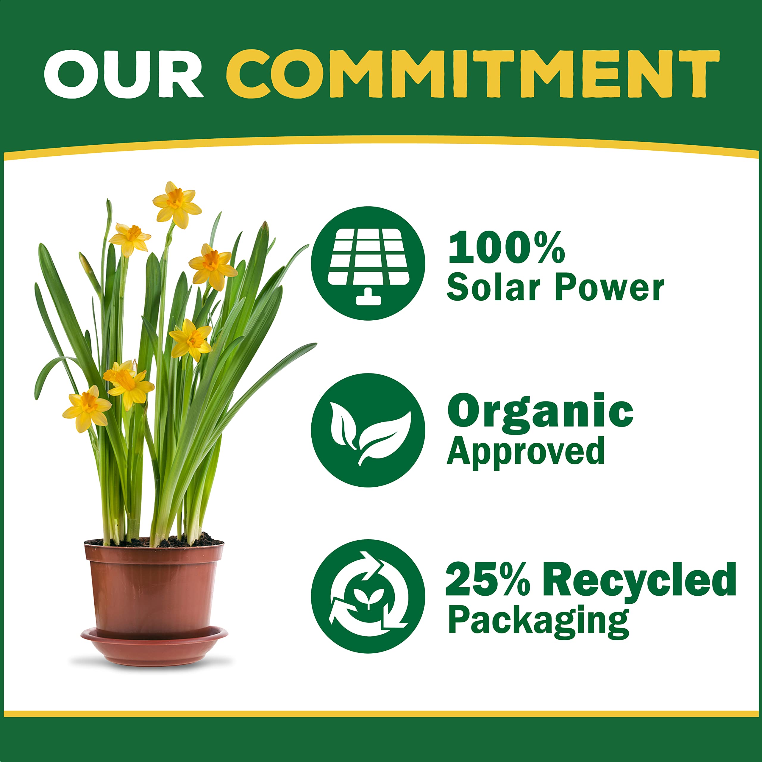 Espoma Organic 16oz Concentrated Tomato Plant Food - All-Natural Fertilizer for Tomatoes, Vegetables & Organic Gardening (1 Pack) | Perfect for Home Gardens, Greenhouses & Container Planting