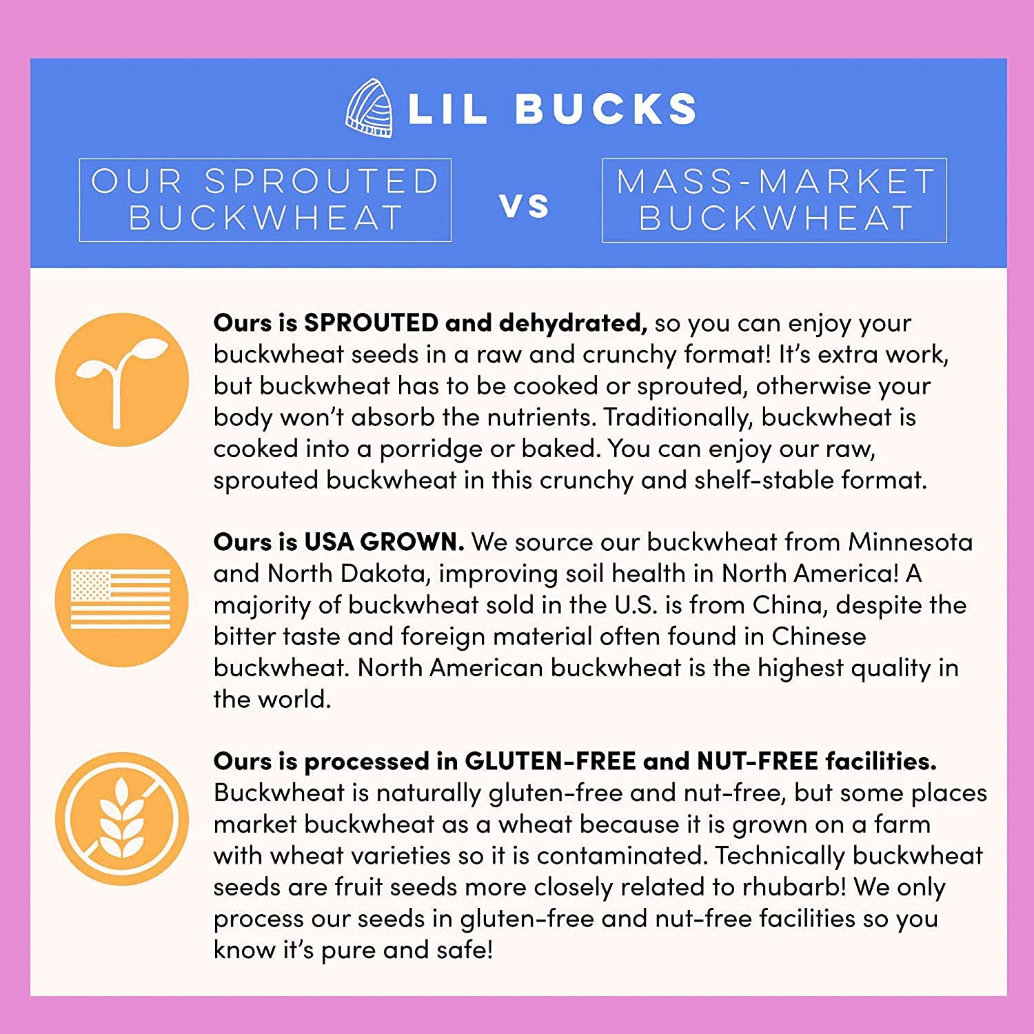 Lil Bucks Clusterbucks Gut Friendly Clusters - Organic Sprouted Buckwheat Snacks, Gluten Free, Non-GMO, Vegan (Snickerdoodle Flavor, 3 Pack) - Perfect for Healthy On-the-Go Snacking, Office Treats & Kids Lunchboxes