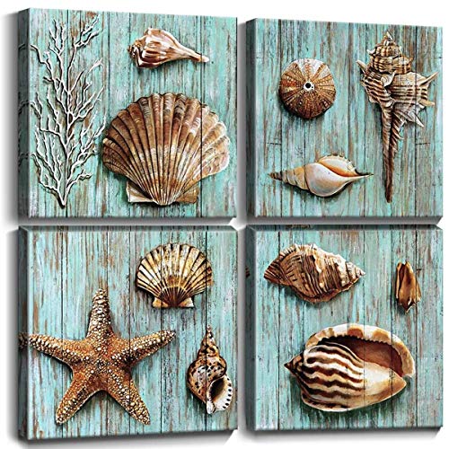Seashell