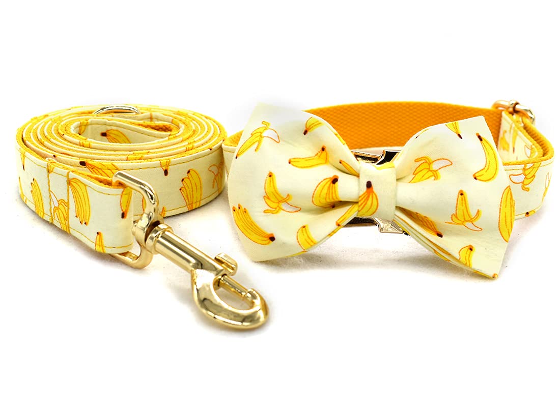 Personalized Dog Collar with Name & Phone - Small to Large Pets for Daily Walks & ID Safety