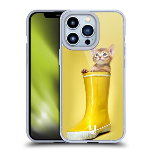 Abyssinian Kitty In A Boot