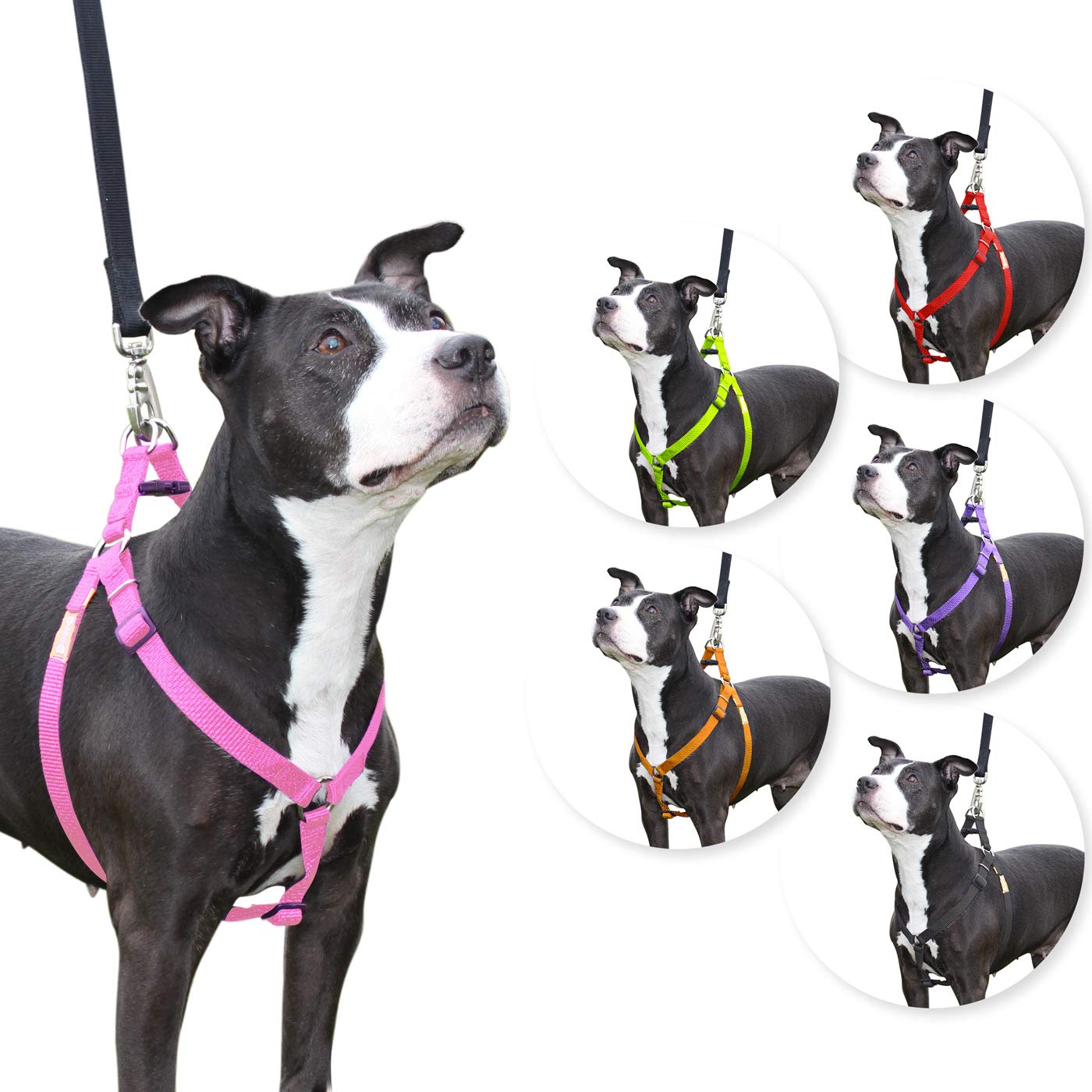 Step-in Dog Harness for Small Dogs - Adjustable Pink Pet Harness with Soft Padding | Perfect for Walking, Training & Outdoor Adventures