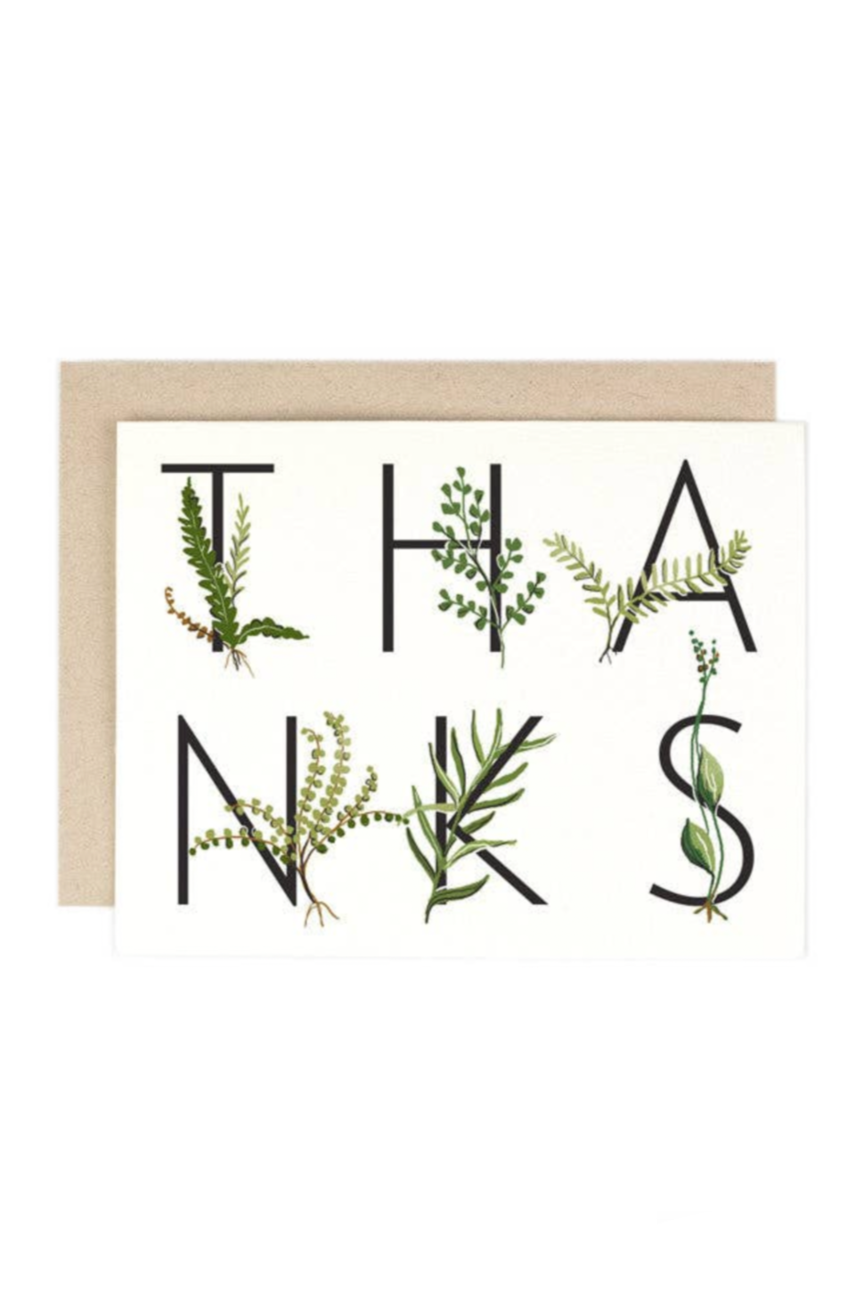 Fern Thank You Card - Elegant Greeting Card for All Occasions | Perfect for Birthdays, Anniversaries, and Appreciation Gifts