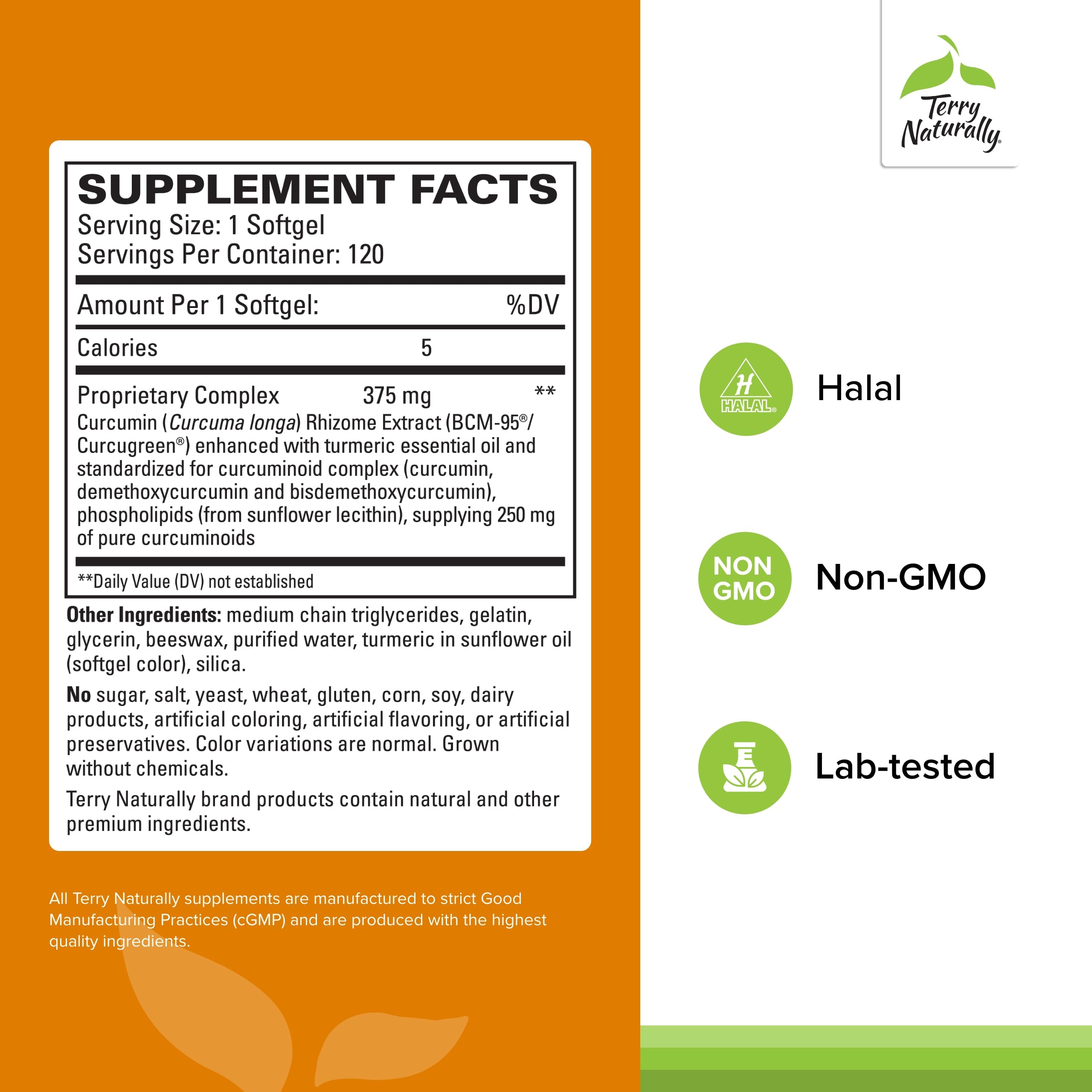 Terry Naturally CuraMed 375mg - Premium Turmeric Curcumin Supplement for Brain, Immune & Liver Support - 120 Softgels (Pack of 2) - Antioxidant-Rich Formula with Essential Oils - Perfect for Daily Wellness & Joint Health