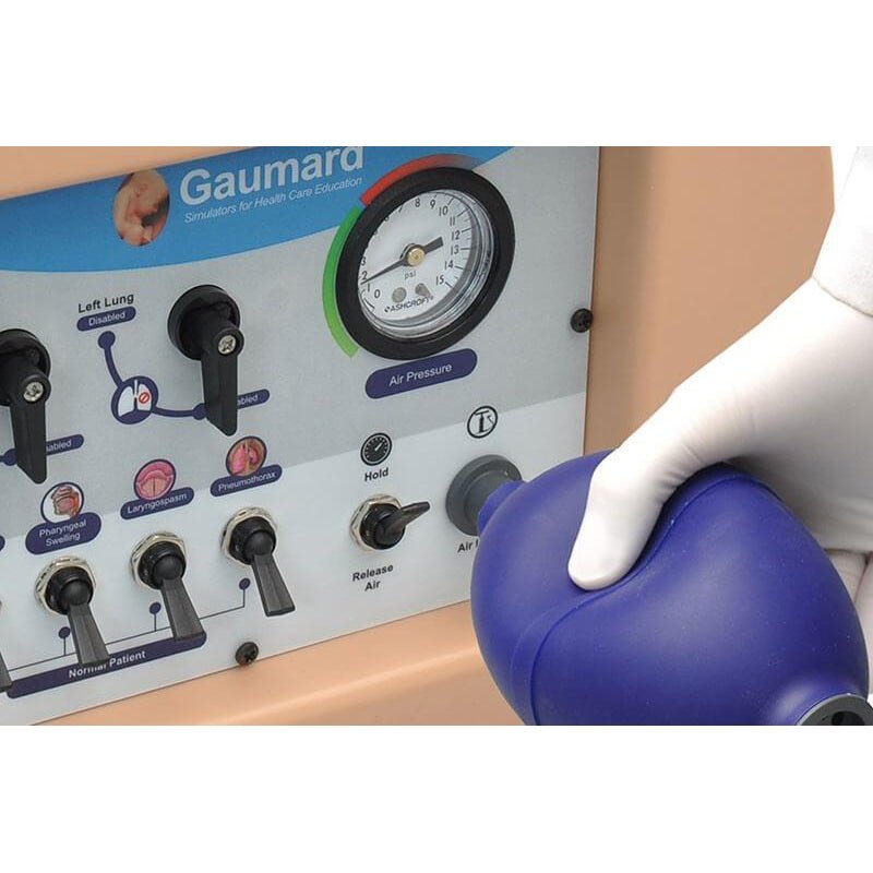 HAL® Adult Multipurpose Airway and CPR Training Manikin - Lightweight Medical Practice Dummy for First Aid, Nursing & Emergency Response Training - Perfect for Hospitals, Schools & CPR Certification Courses