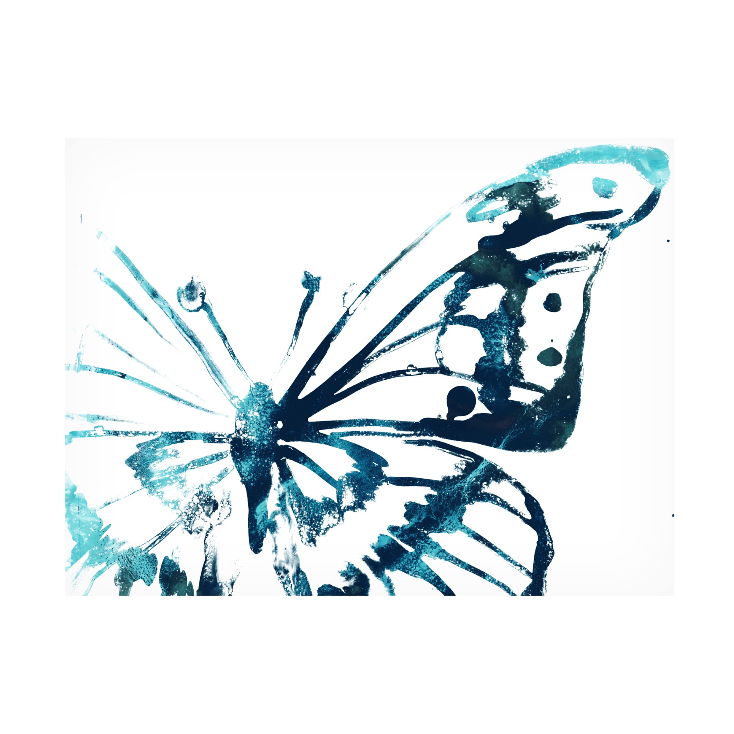 Trademark Fine Art 'Butterfly Imprint V' Canvas Wall Art by June Erica Vess - Stunning Butterfly Painting for Living Room, Bedroom & Office Decor
