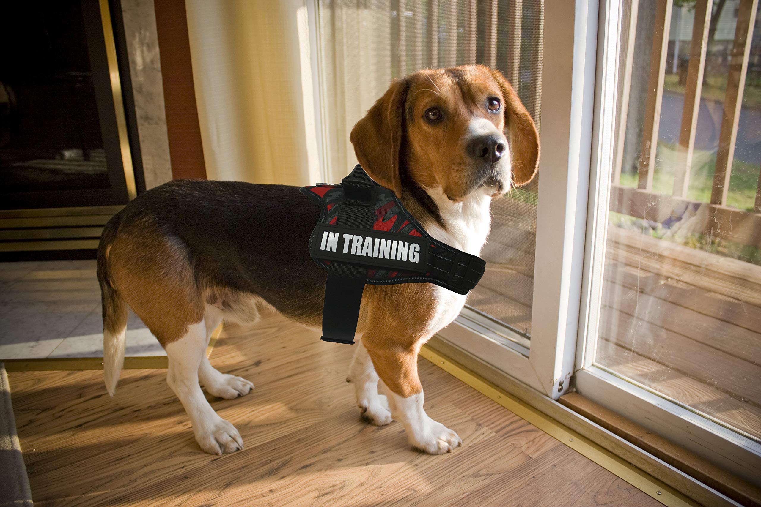 Dihapet No Pull Service Dog Vest Harness - Reflective Adjustable Soft Pet Harness for Small Medium Large Dogs - Perfect for Training, Walking & Outdoor Adventures