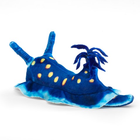 Folkmanis Nudibranch Finger Puppet - Realistic Sea Slug Hand Puppet for Kids Educational Play, Storytelling & Marine Life Learning