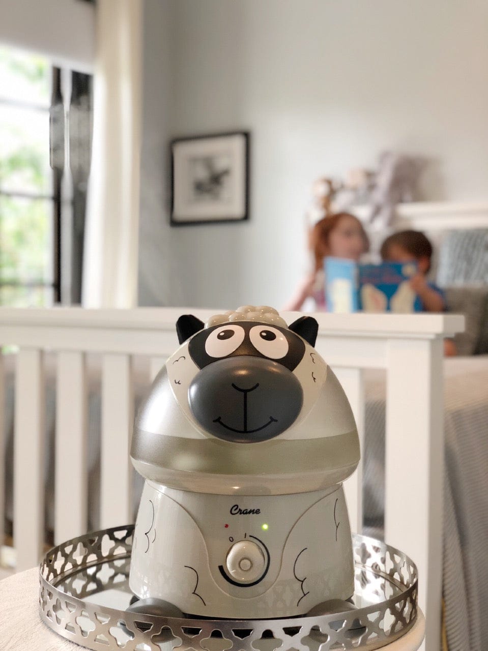 Adorable Cool Mist Humidifier for Baby Nursery & Bedroom - Quiet Ultrasonic Air Moisturizer with Night Light, Perfect for Dry Skin, Allergies & Better Sleep