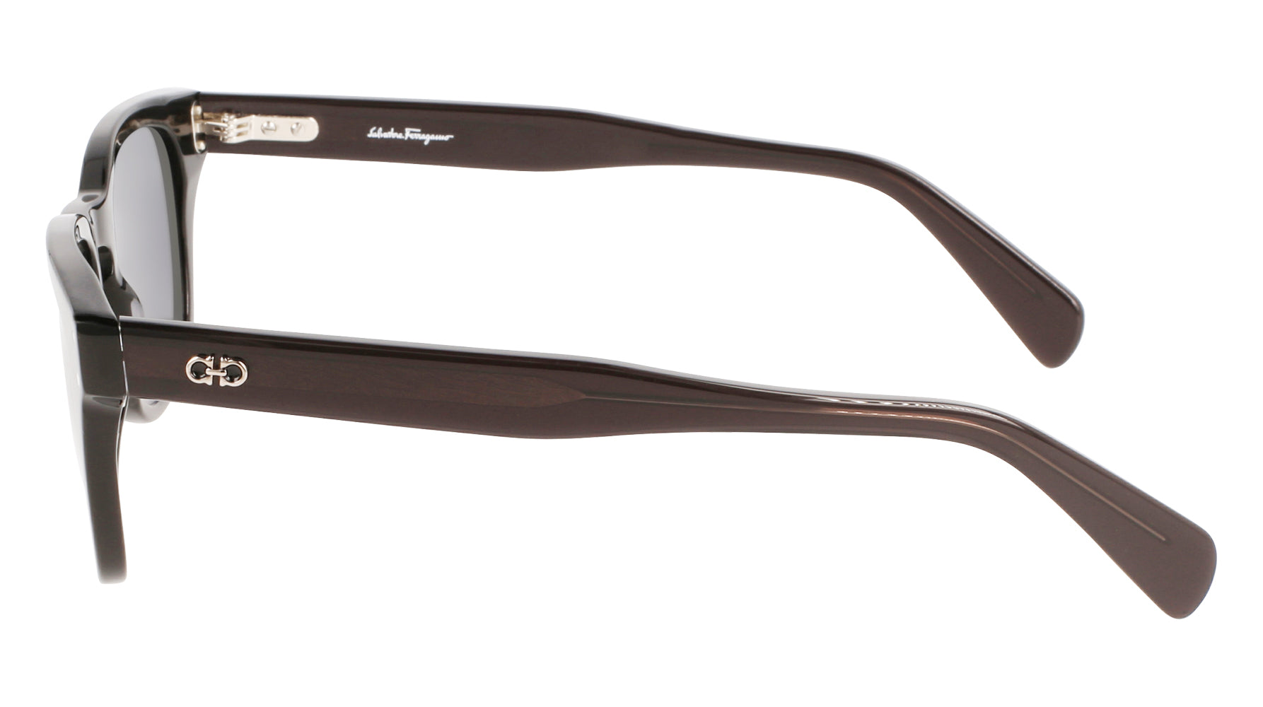 Ferragamo SF1057S Sunglasses for Women - Luxury Designer Shades with UV Protection - Perfect for Outdoor Activities, Travel, and Fashion Accessories