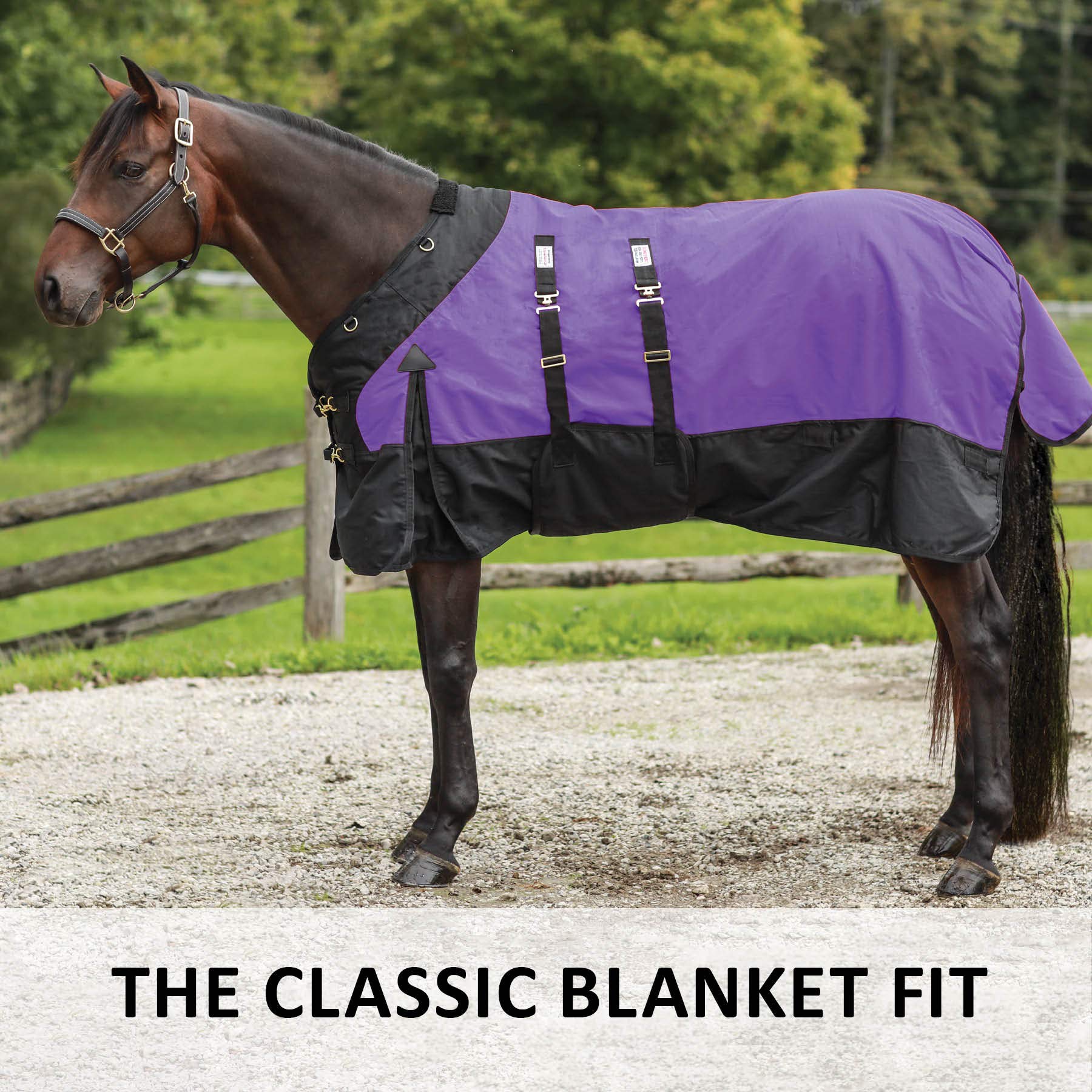 Contour Collar Classic II Horse Turnout Blanket - Waterproof Winter Horse Blanket with Bellyband Closure | Weather Protection for Cold Climates | Ideal for Pasture, Riding, and Stable Use