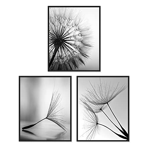 B/ Dandelion