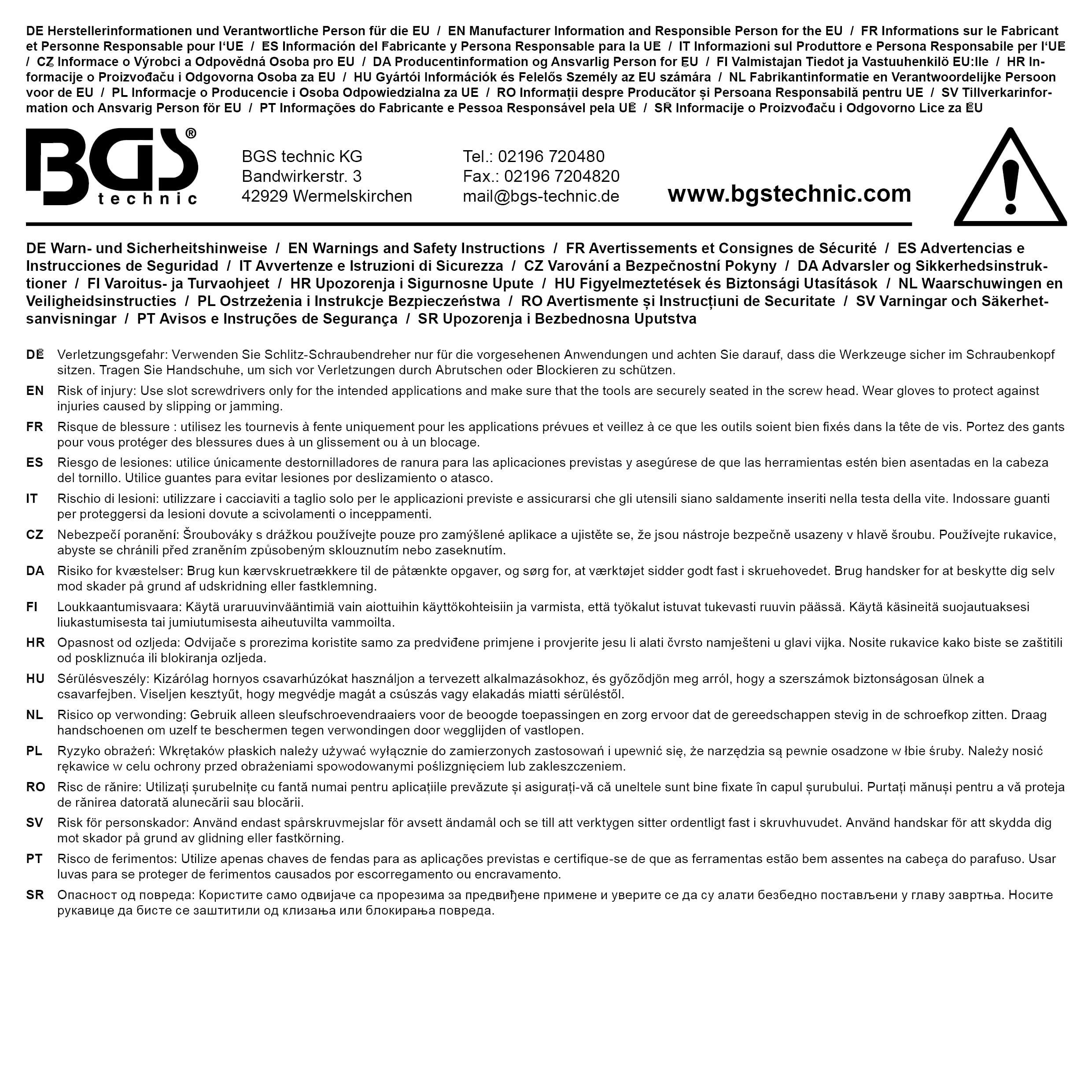 BGS 4902 5mm Slot Screwdriver with 75mm Blade - Professional Precision Tool for Electronics, Jewelry & Watch Repair