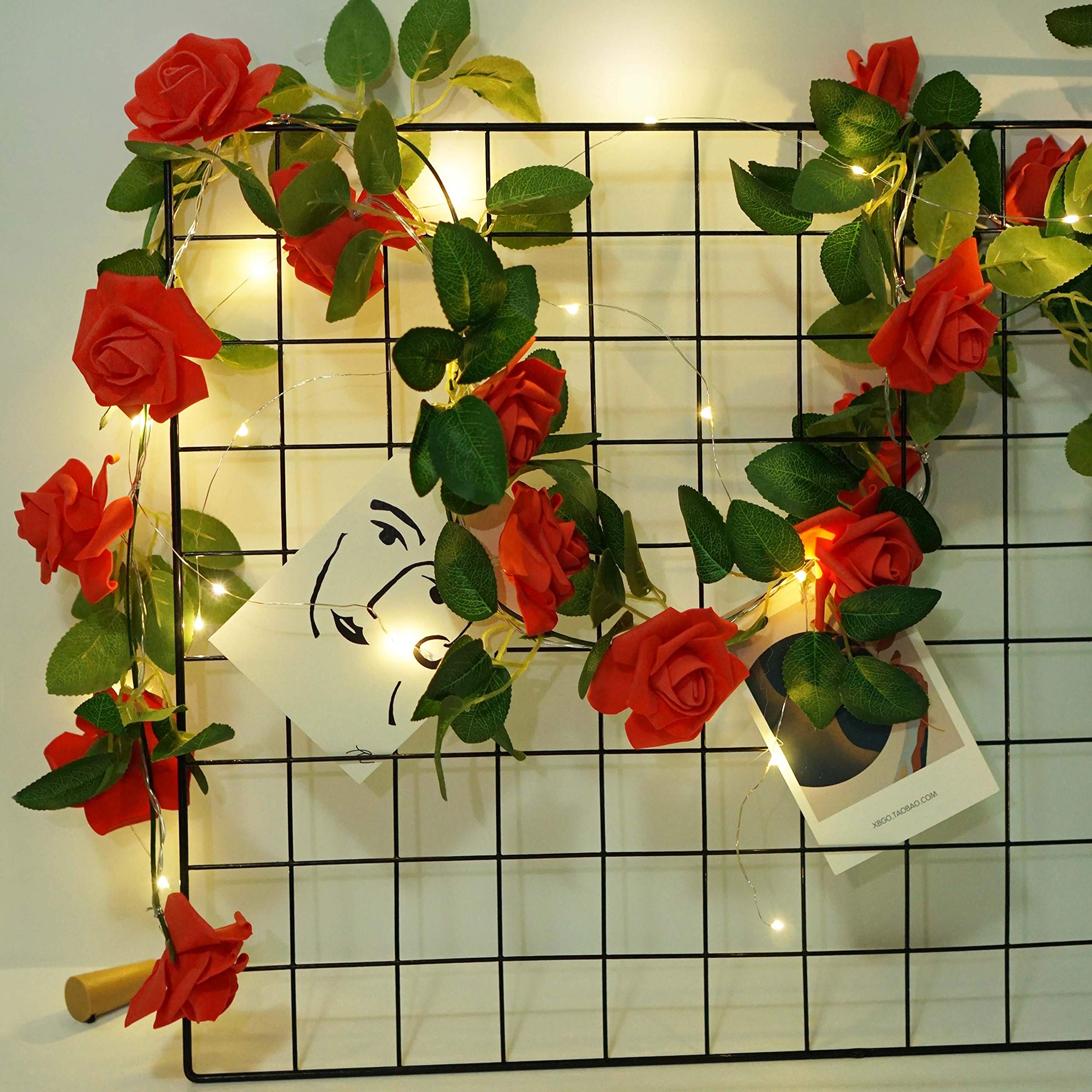 Rose String Lights Battery/USB Powered with Remote - Waterproof Fairy Lights for Bedroom, Christmas, Wedding, Party Decor (Red, 6.6ft) | Romantic Ambiance Lighting for Home, Garden, Valentine's Day & Special Occasions