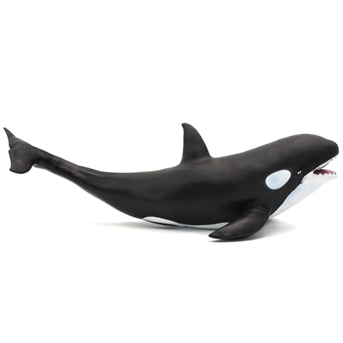 Killer Whale