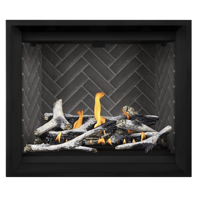 Napoleon Altitude X 42 Direct Vent Gas Fireplace - 42 Inch Natural Gas Fireplace Insert with Remote Control | AX42 1 | Perfect for Living Rooms, Bedrooms & Outdoor Patios