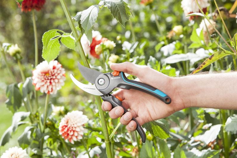 Gardena Garden Pruning Shears B/M 8904 20 - Professional Bypass Secateurs for Precise Cutting - Perfect for Trimming Flowers, Shrubs, and Small Branches in Your Garden