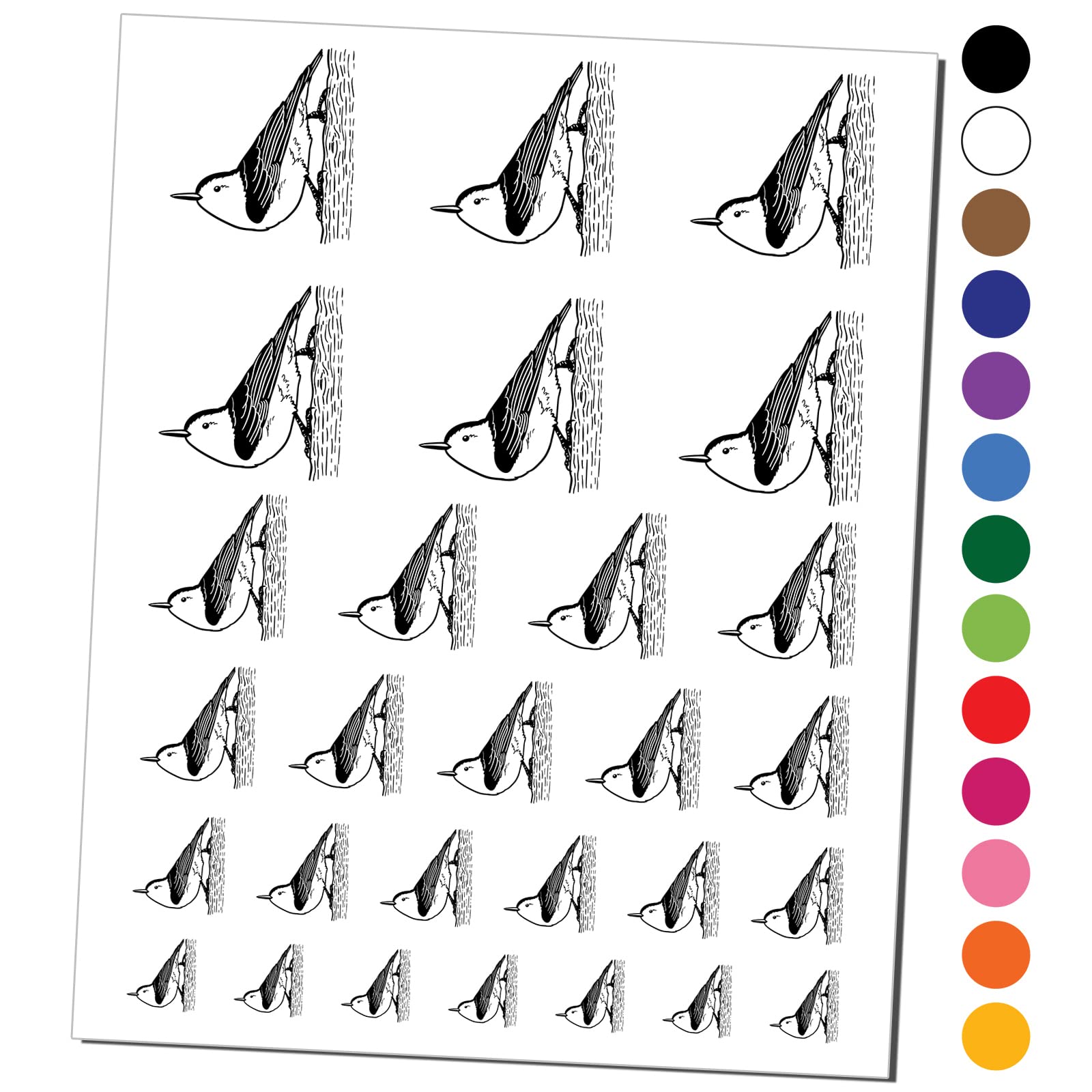 Waterproof Active White-Breasted Nuthatch Temporary Tattoos - Fake Body Art Stickers Set (Black, 1 Sheet) | Perfect for Bird Lovers, Nature Enthusiasts & Costume Parties