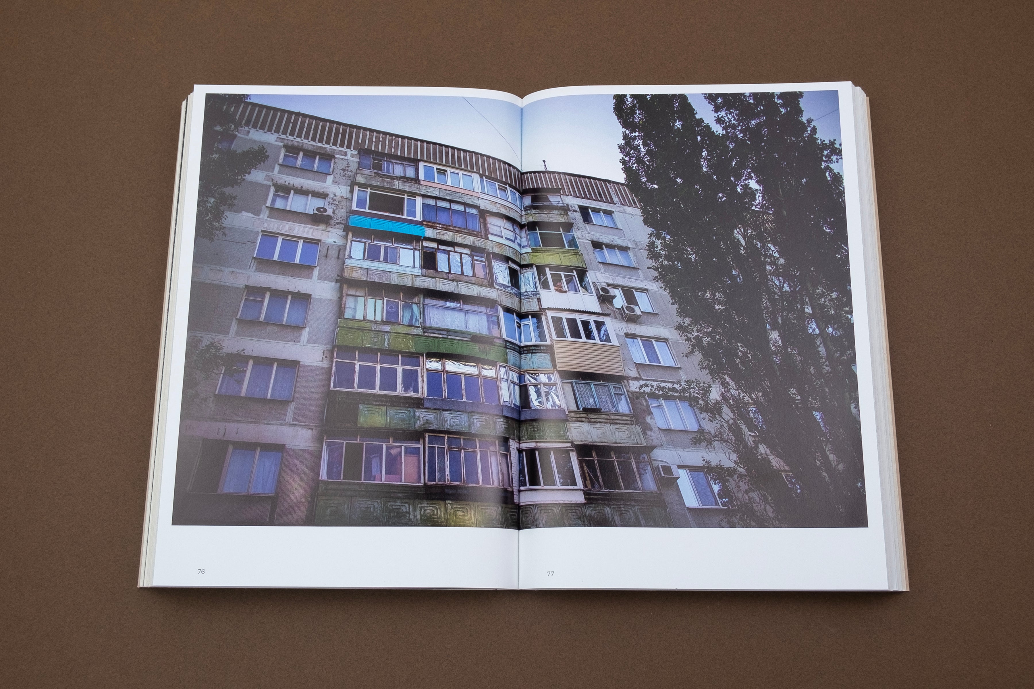Debaltsevo, Where Are You? - A Memoir by Karine Zenja Versluis | War & Survival Story | Perfect for History Enthusiasts & Book Clubs