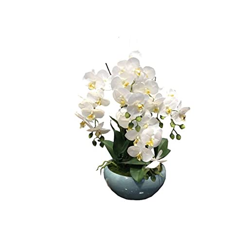 White Artificial Orchid Flowers in Blue Ceramic Vase - Phalaenopsis Fake Flower Arrangement for Home & Office Decor - Perfect for Wedding Centerpieces, Table Decorations & Living Room Accents