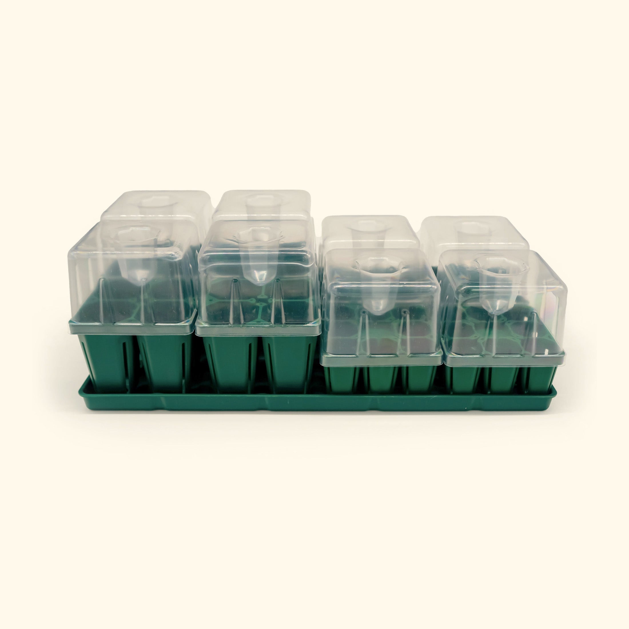 10 x 20 Inch Seed Starting Tray with Dome Lid - Perfect for Indoor Gardening, Greenhouse Planting & Hydroponic Seedlings