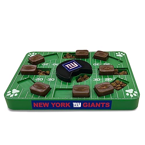 NEW YORK GIANTS