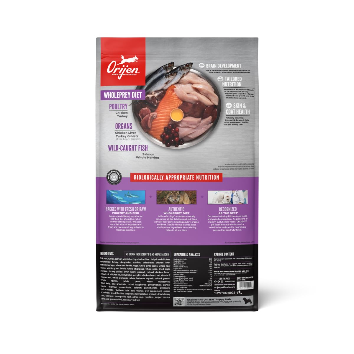 ORIJEN Grain-Free Puppy Large Breed Dry Dog Food - High Protein, Fresh & Raw Ingredients, 23.5lb Bag - Ideal for Growing Large Breed Puppies & Active Dogs