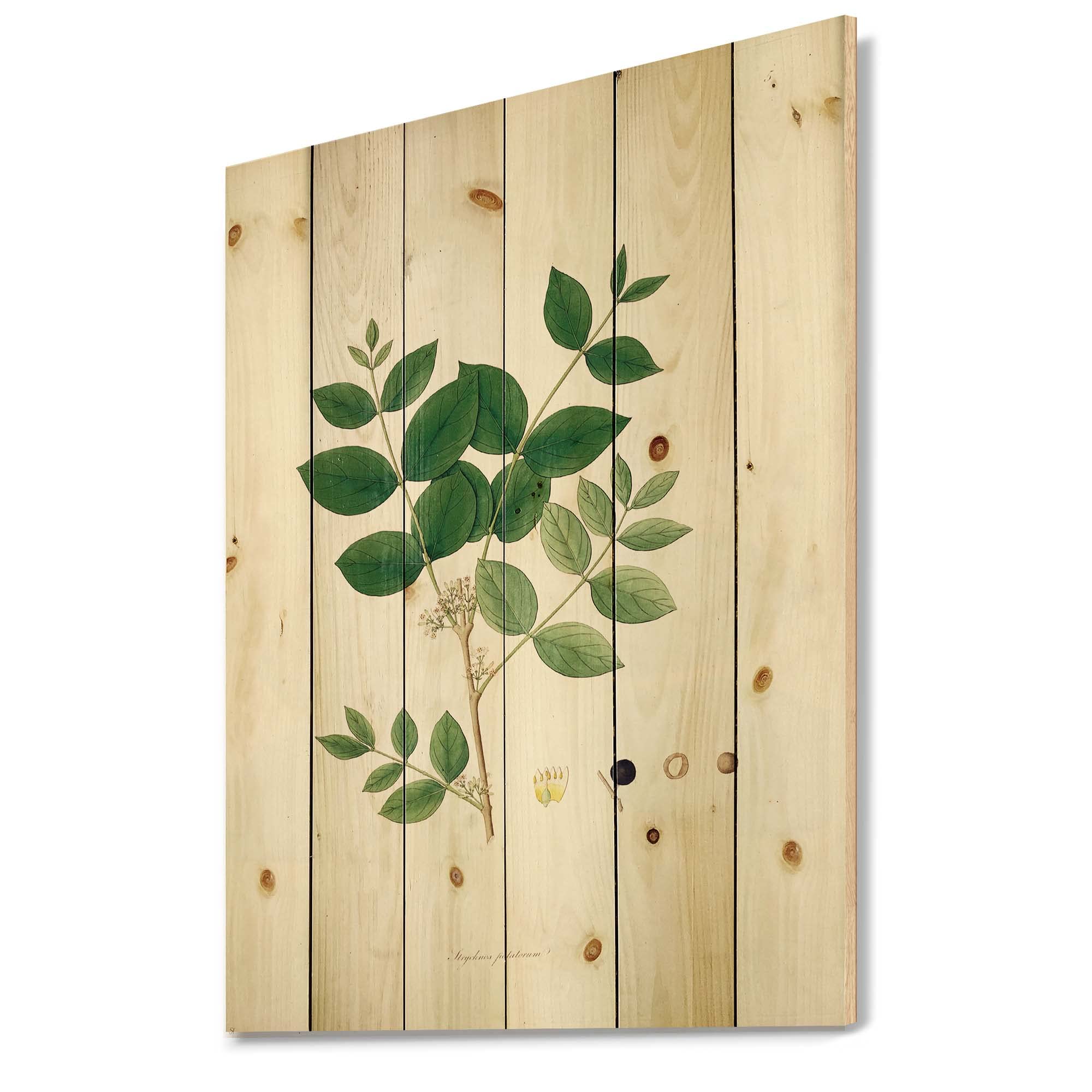 Vintage Botanicals Farmhouse Wood Wall Decor - Large Floral Wood Wall Art Panels Printed on Natural Pine - Perfect for Living Room, Bedroom & Home Office Decor