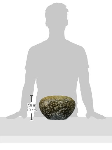 NOVICA Handcrafted Mango Wood Lacquerware Vase - Beige 'Rock Eggs' Design | Decorative Home Accent for Living Room, Bedroom & Office Decor