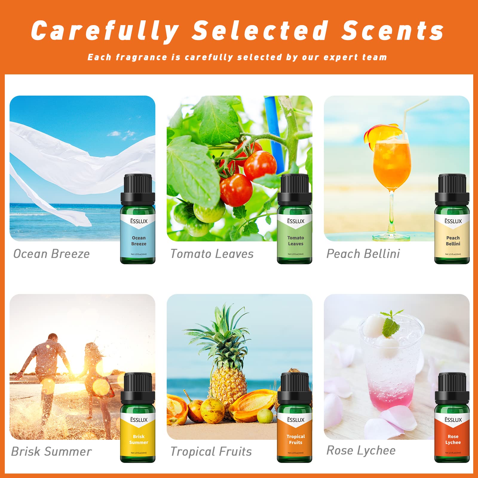 ESSLUX Fragrance Oils Set - Fruity & Summer Scented Oils for Diffusers, Soap Making, Candle Making | Perfect for Aromatherapy, Home Spa & DIY Crafts