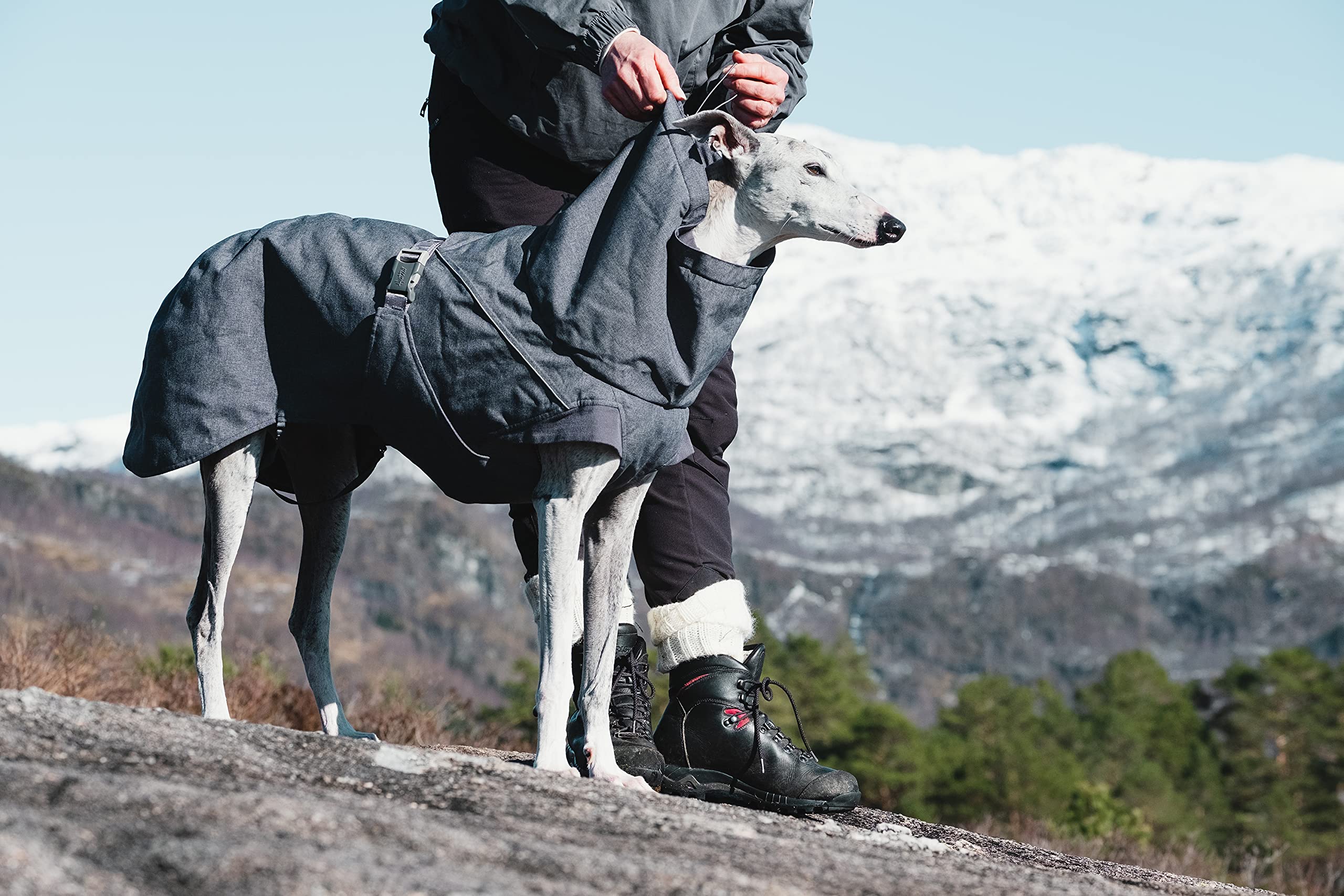 Hurtta Expedition Parka Winter Dog Coat for Large Dogs - Waterproof, Windproof, Insulated - BlackBerry, Size 26 in - Perfect for Cold Weather Walks & Outdoor Adventures