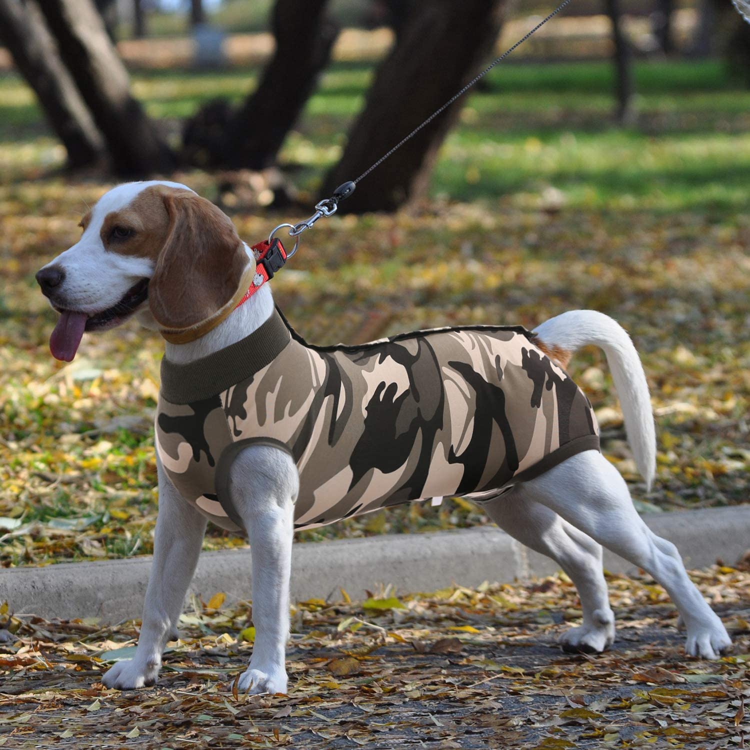 SAWMONG Dog Recovery Suit - Post-Surgery Surgical Suit for Dogs, Spay/Neuter Onesie for Female & Male Dogs - Alternative to E-Collar Cone - Camouflage Print - X-Small - Perfect for Post-Op Care, Wound Protection & Comfort at Home