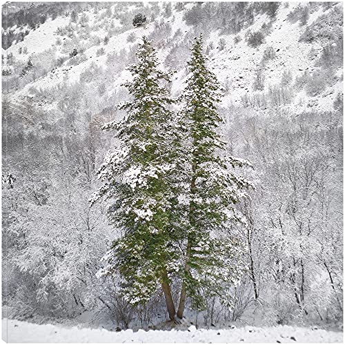 Snow Trees