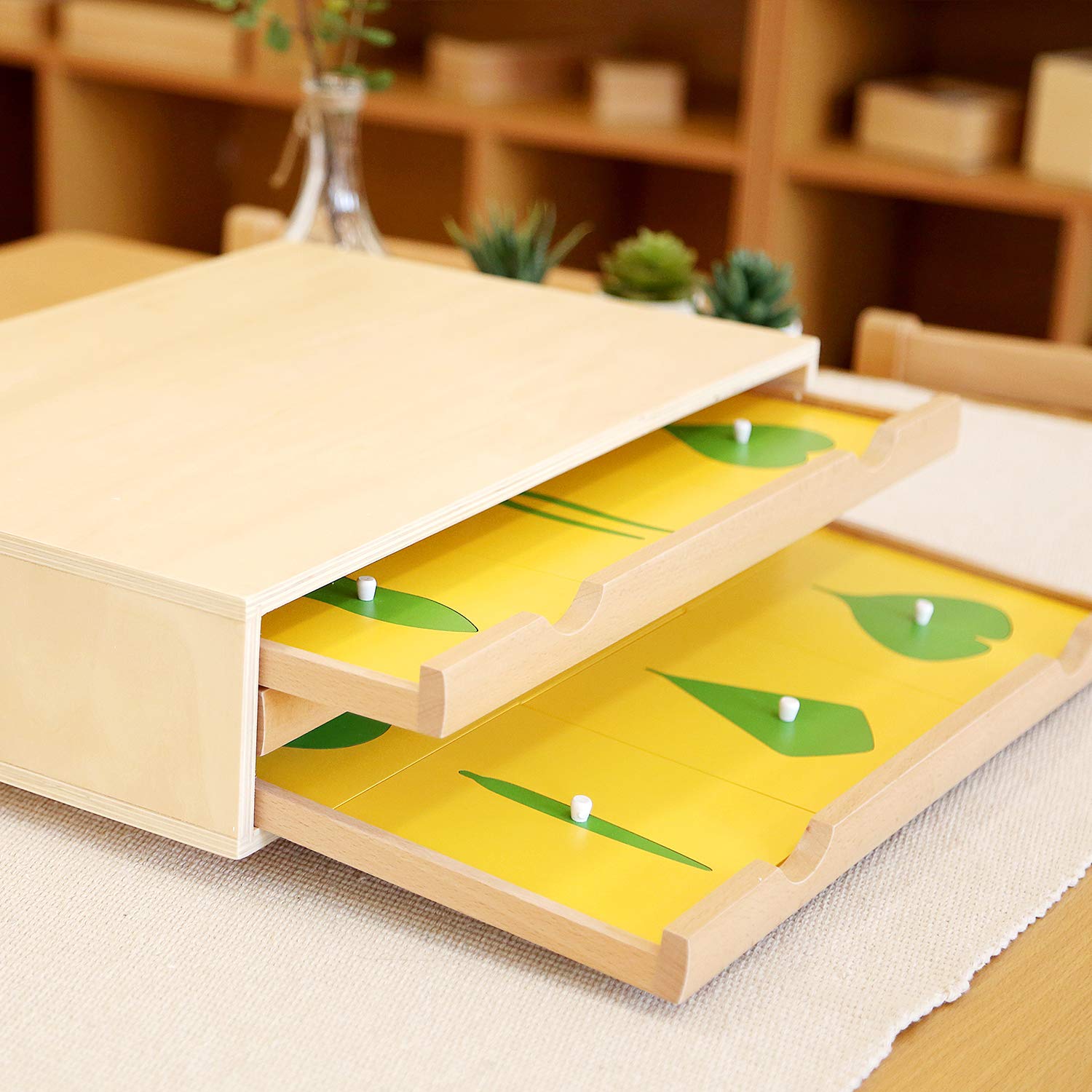 Montessori Botany Cabinet - Wooden Plant Puzzle for Kids, Educational Learning Toy for Preschool Classroom & Homeschool (Perfect for Nature Study, Science Activities)