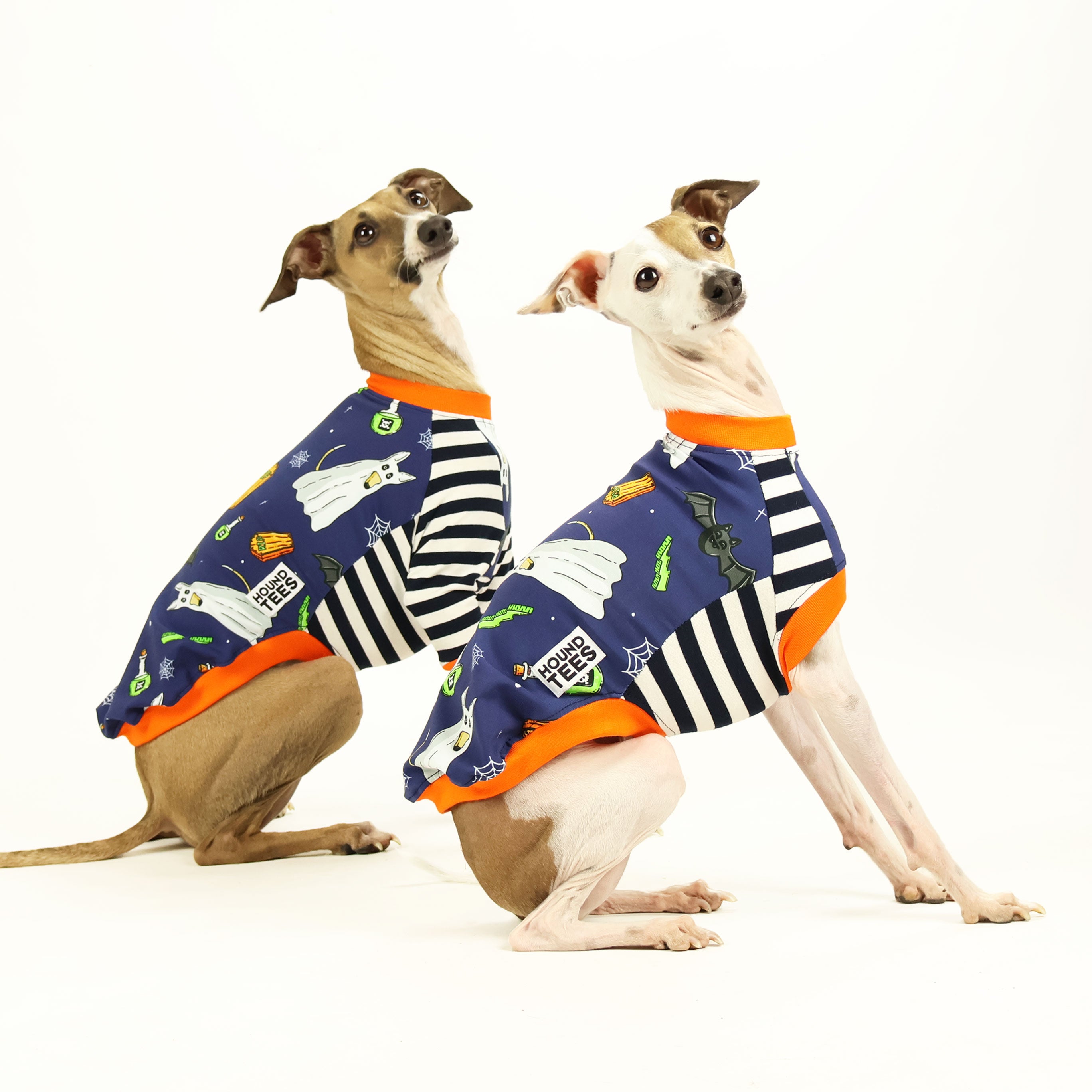 Ghost Hound Italian Greyhound Long Sleeve T-Shirt - Comfortable Dog Lover Apparel for Casual Wear, Dog Walks & Pet Owner Gifts