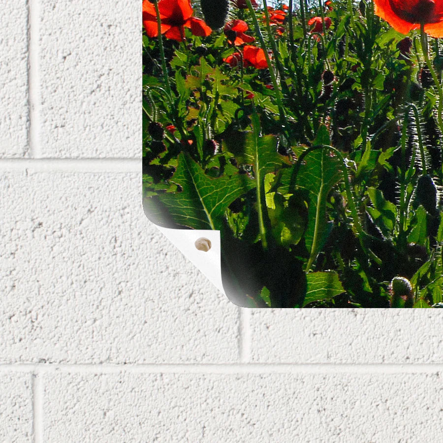 Gorilla 672 Squares of Non-Toxic Mounting Putty - Removable & Repositionable Adhesive for Hanging Posters, Photos & Decor (Natural Tan) - Perfect for Home, Office & Classroom Use