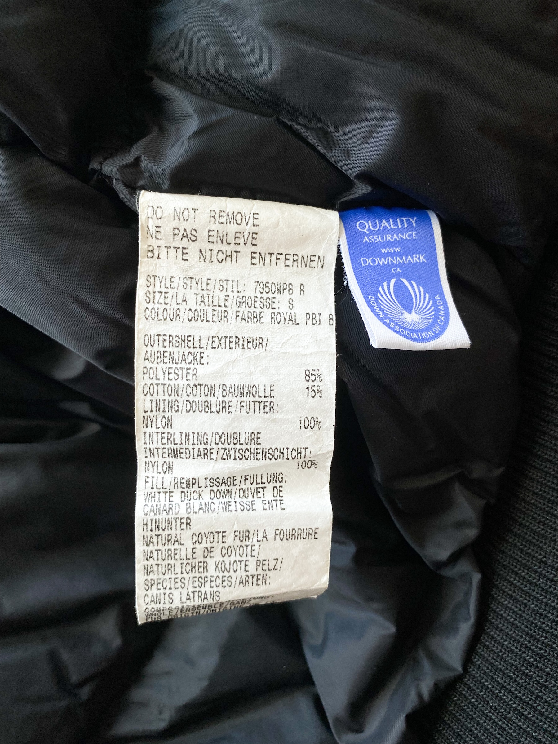 Canada Goose Royal PBI Blue Chilliwack Men's Bomber Jacket - Waterproof Winter Coat for Cold Weather, Outdoor Activities & Urban Style