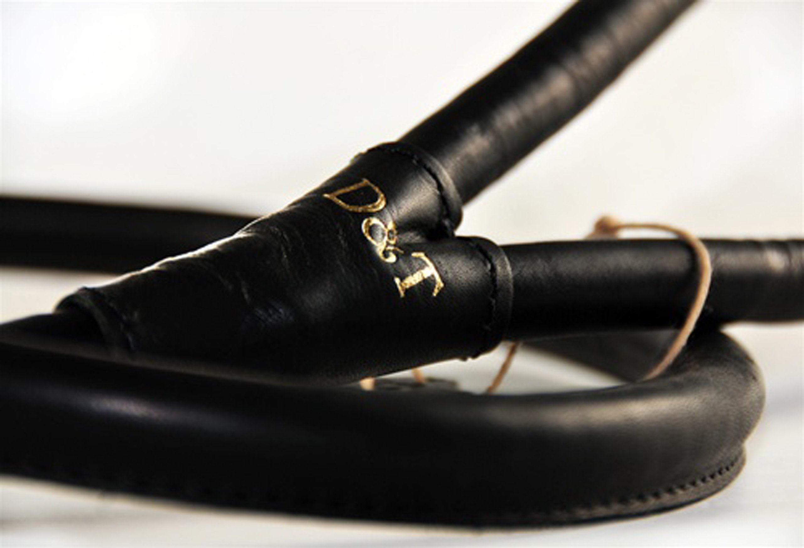 Dean and Tyler Tamed Beauty Rolled Leather Dog Leash - 2 Feet Long, 1/2 Inch Wide - Black with Solid Brass Hardware & Comfort Handle | Perfect for Small Dogs, Puppies, and Fashionable Pet Owners for Daily Walks & Outdoor Adventures