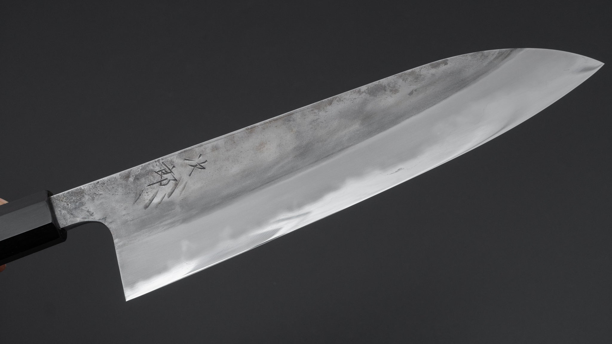 Premium Jiro Tsuchime Wa Gyuto 240mm Japanese Chef Knife with Taihei Tagayasan Handle (#669) - Perfect for Professional Chefs & Home Cooking, Sushi Preparation & Meat Cutting