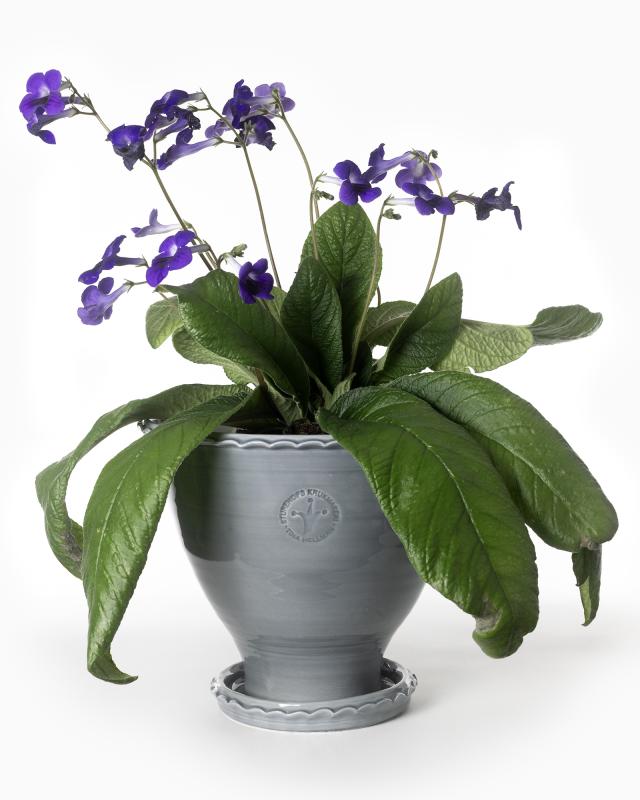 Kruka Sturehof Adelcrantz 24cm Gray Ceramic Planter - Perfect for Indoor Plants, Succulents, and Home Decor
